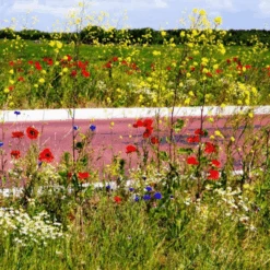 Gloria Gloria Prima 5 Plus Zuurbestendig EPDM