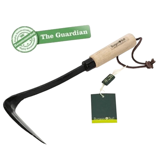 Burgon & Ball RHS Schrepel 12 Cm (koolstofstaal)