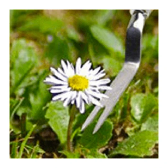 Burgon & Ball RHS Onkruidsteker - Plat - Afbeelding 2