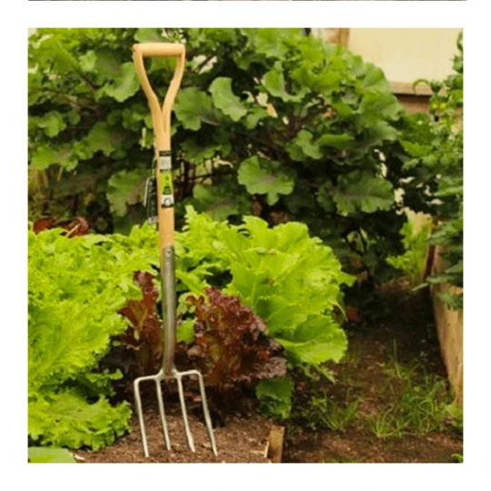 Burgon & Ball RHS Spitvork 4 Tanden - Afbeelding 2