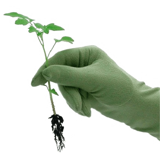 De Wiltfang Foxgloves Original