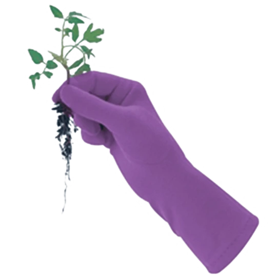 De Wiltfang Foxgloves Original - Afbeelding 3