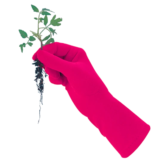 De Wiltfang Foxgloves Original - Afbeelding 4