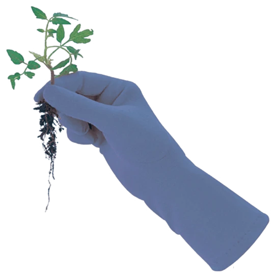 De Wiltfang Foxgloves Original - Afbeelding 5