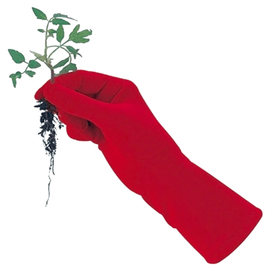 De Wiltfang Foxgloves Original - Afbeelding 6