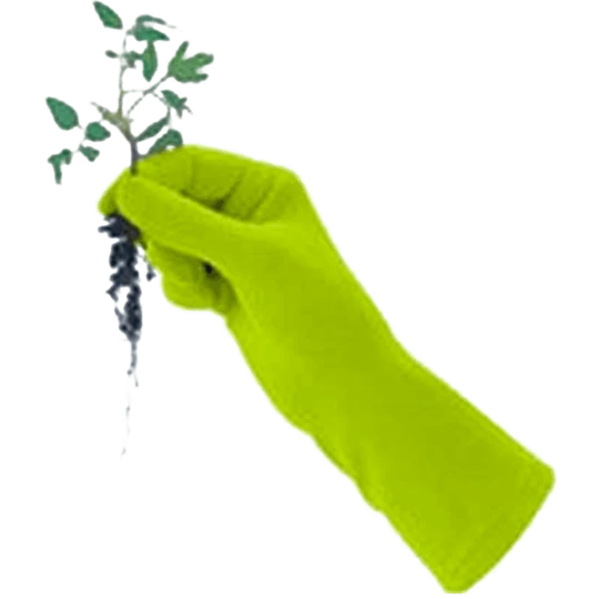 De Wiltfang Foxgloves Original - Afbeelding 7